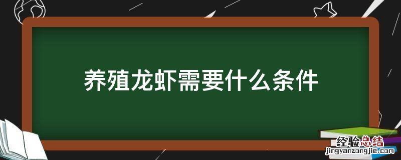 养殖龙虾需要什么条件