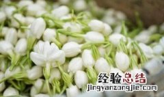 茉莉花可以泡脚吗 茉莉花可以泡脚吗有什么作用