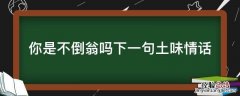 你是不倒翁吗下一句土味情话