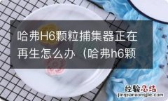 哈弗h6颗粒捕集器正在再生怎么解决 哈弗H6颗粒捕集器正在再生怎么办