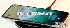 iphonex面容id录入不了