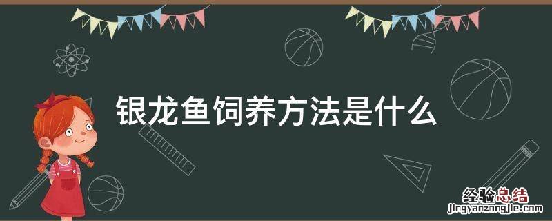 银龙鱼饲养方法是什么