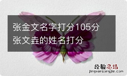 张金文名字打分105分 张文垚的姓名打分