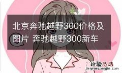 北京奔驰越野300价格及图片 奔驰越野300新车报价及图片