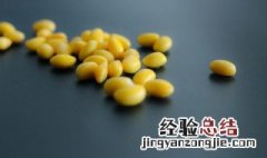 黄豆生长的季节 黄豆什么季节成熟