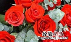 18朵玫瑰花语代表什么意思 18朵玫瑰花语代表什么意思呢