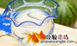 鱼缸怎么清洗水垢 鱼缸如何清洗水垢