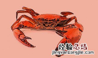 冷冻的阳澄湖大闸蟹能吃吗 阳澄湖大闸蟹冻死了能吃吗