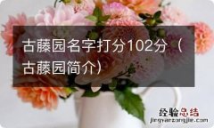 古藤园简介 古藤园名字打分102分