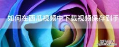 如何在西瓜视频中下载视频保存到手机本地