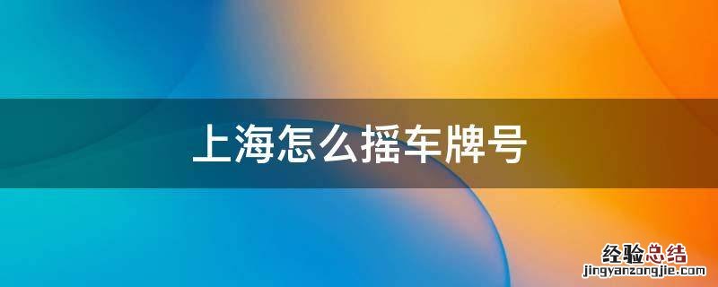 上海怎么摇车牌号