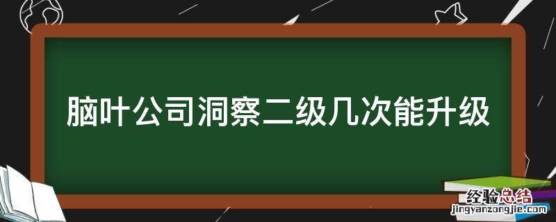 脑叶公司洞察二级几次能升级