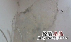 墙纸霉斑去除的方法 墙纸霉斑去除的方法介绍