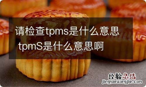 请检查tpms是什么意思 tpmS是什么意思啊