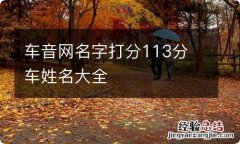 车音网名字打分113分 车姓名大全