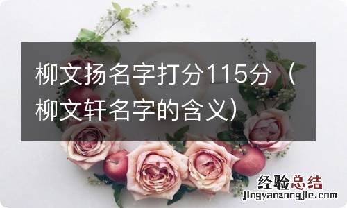 柳文轩名字的含义 柳文扬名字打分115分