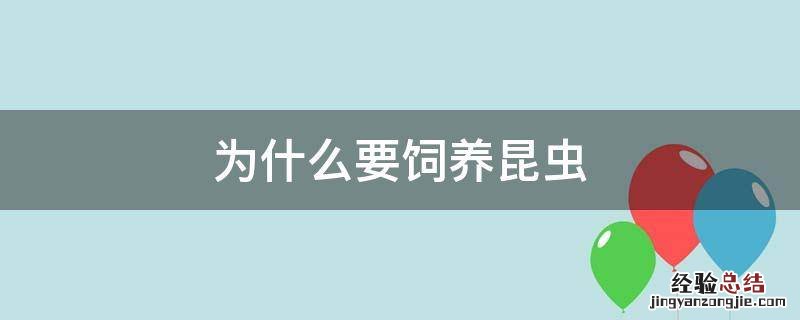 为什么要饲养昆虫