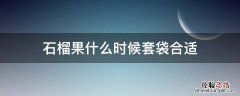 石榴果什么时候套袋合适