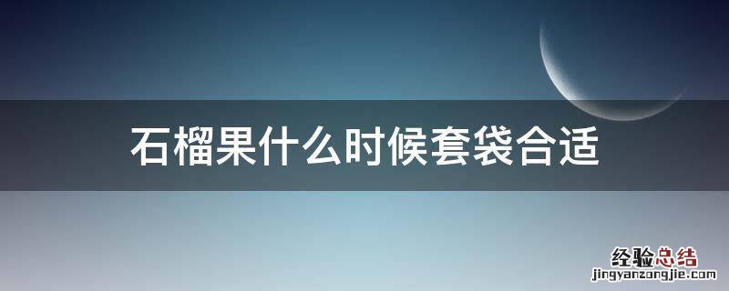 石榴果什么时候套袋合适