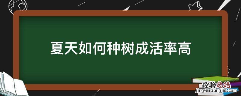 夏天如何种树成活率高