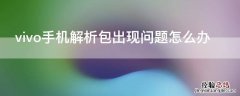 vivo手机解析包出现问题怎么办