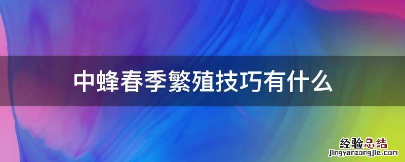 中蜂春季繁殖技巧有什么