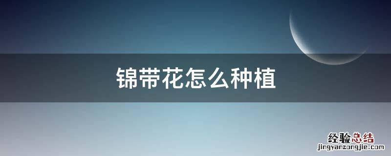 锦带花怎么种植