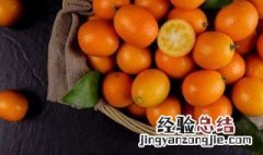 新年家里放什么花 新年家里放什么花寓意好