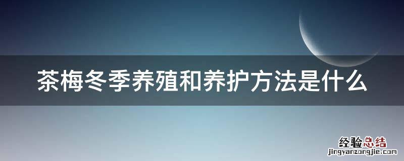 茶梅冬季养殖和养护方法是什么