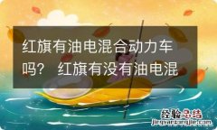 红旗有油电混合动力车吗？ 红旗有没有油电混动的