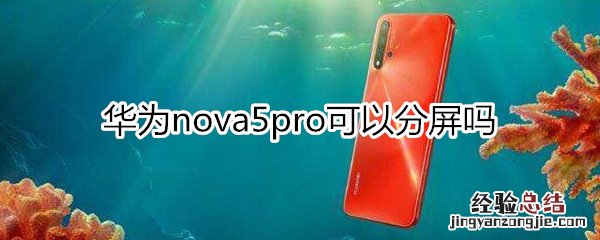 华为nova5pro可以分屏吗