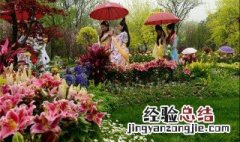 花朝节是什么节日啊 花朝节是什么节日