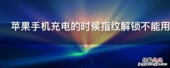 苹果手机充电的时候指纹解锁不能用怎么回事