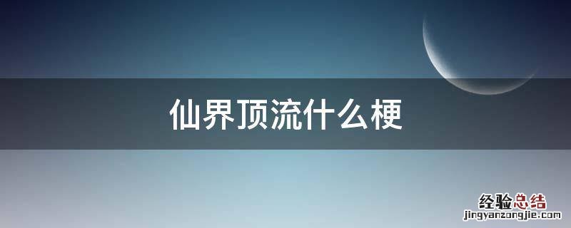 仙界顶流什么梗