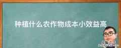 种植什么农作物成本小效益高