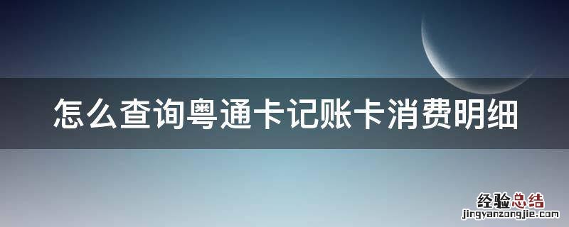 怎么查询粤通卡记账卡消费明细