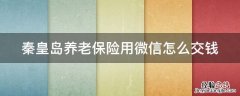 秦皇岛养老保险用微信怎么交钱