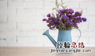 勿忘我的花语是什么意思 勿忘我的花语是什么意思英文