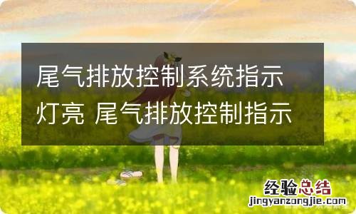 尾气排放控制系统指示灯亮 尾气排放控制指示灯亮了是什么意思