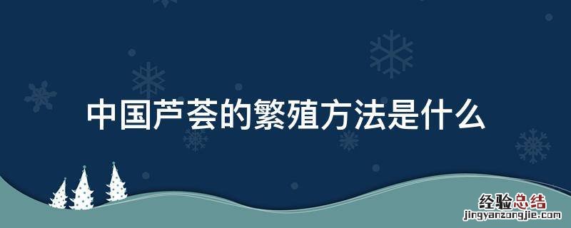 中国芦荟的繁殖方法是什么