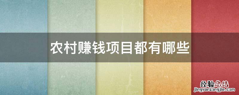 农村赚钱项目都有哪些