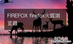 FIREFOX firefox火狐浏览器