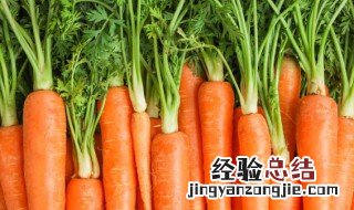 切了一半的胡萝卜可以放多久 胡萝卜可以放多久