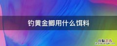 钓黄金鲫用什么饵料