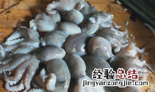小章鱼怎么清洗处理视频 小章鱼怎么清洗