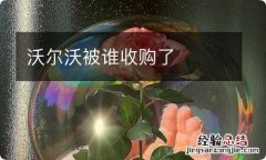 沃尔沃被谁收购了