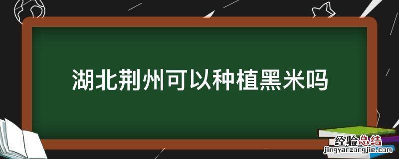 湖北荆州可以种植黑米吗