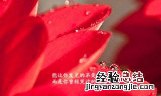 形容此生定不负你的句子 此生定不负你的语录
