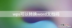 wps可以转换word文档吗