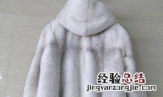 水貂衣服怎么存放 正确存放水貂衣服方法